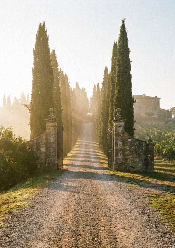 A cypress-lined gravel drive to a Tuscan villa above Florence at golden hour