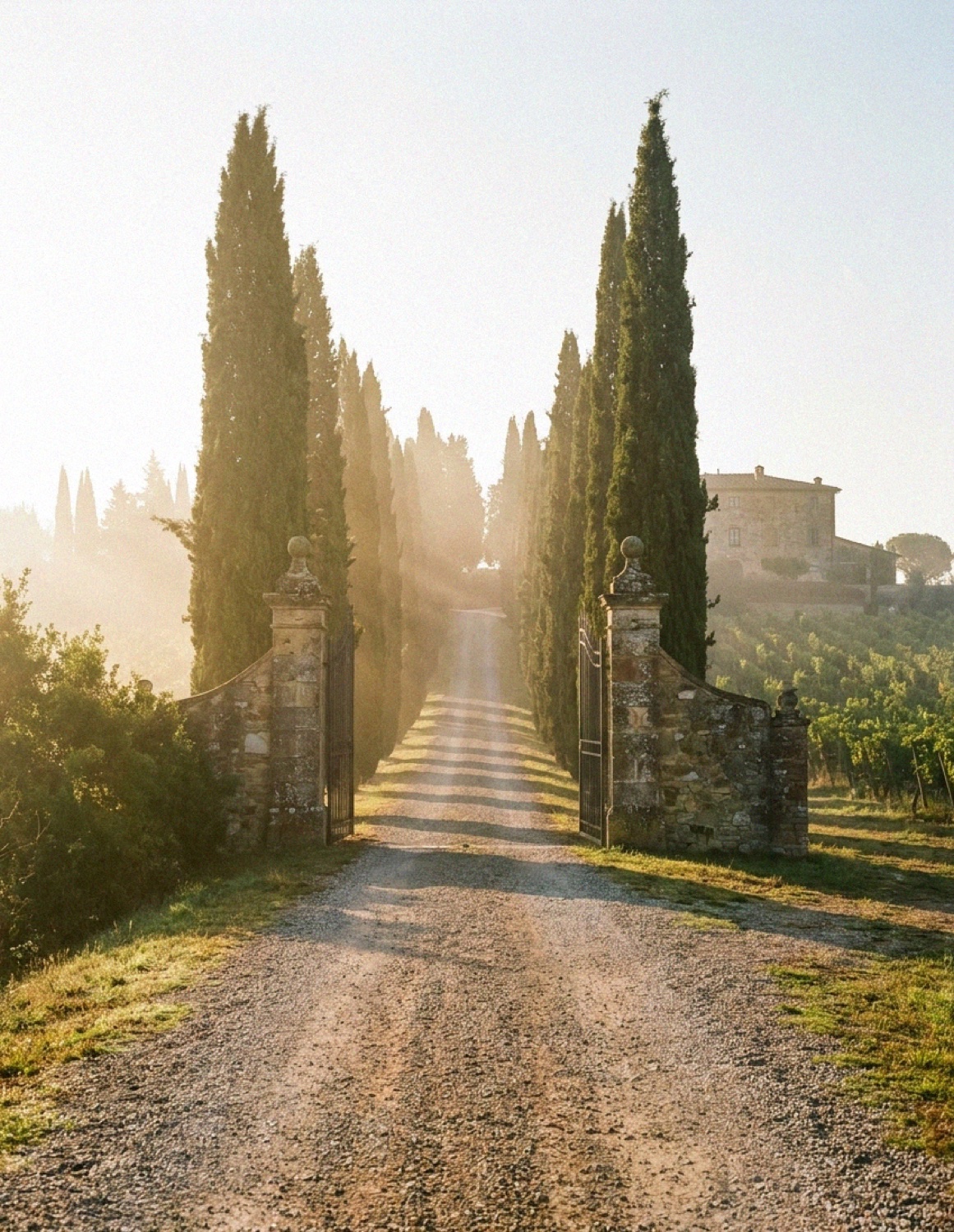 A cypress-lined gravel drive to a Tuscan villa above Florence at golden hour