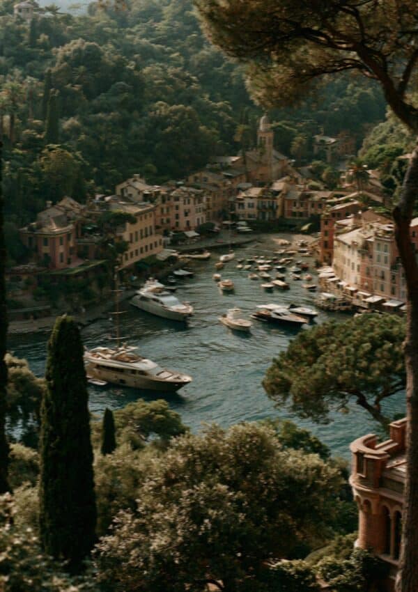 Elevated view of the Portofino cove with boats and pines