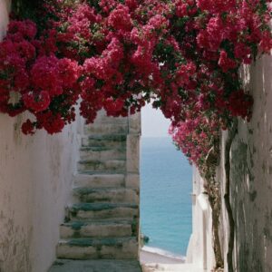 A stone path through a lemon grove overlooking Positano and the Amalfi Coast