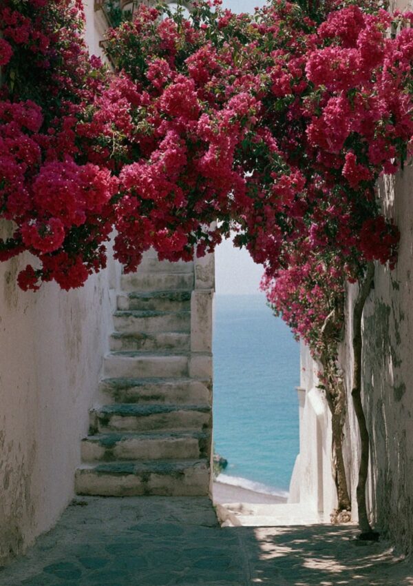 A stone path through a lemon grove overlooking Positano and the Amalfi Coast