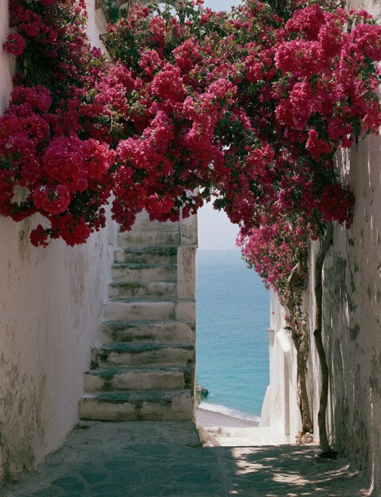 A stone path through a lemon grove overlooking Positano and the Amalfi Coast