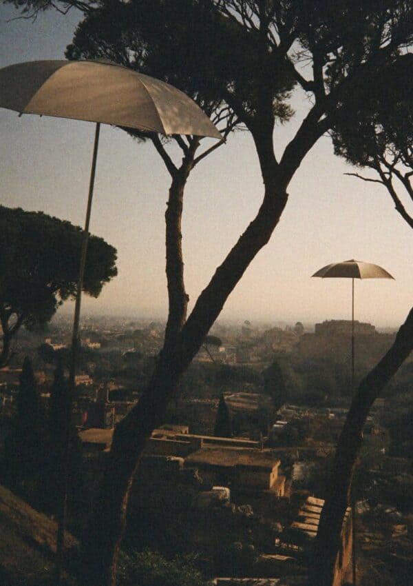 Umbrella pines and parasols above a hazy view of Rome at dusk
