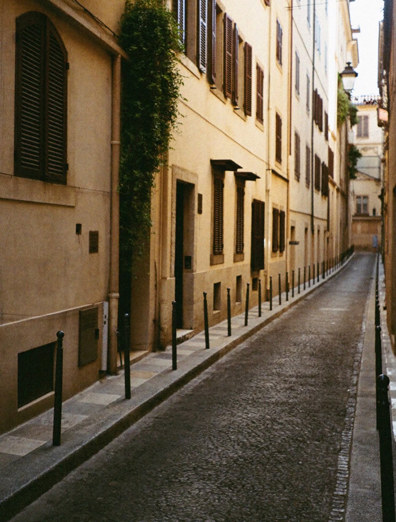 A quiet ochre lane with bollards and green ivy in Rome