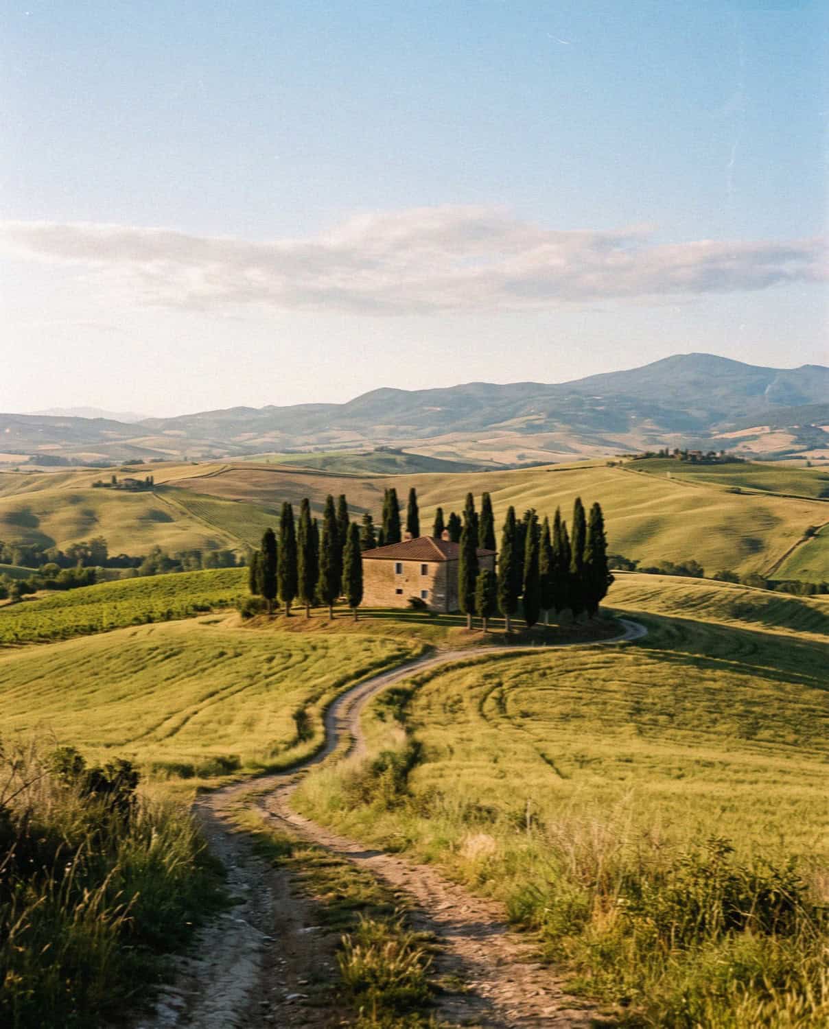 The classic Val d'Orcia view of a lone farmhouse and cypresses in Tuscany