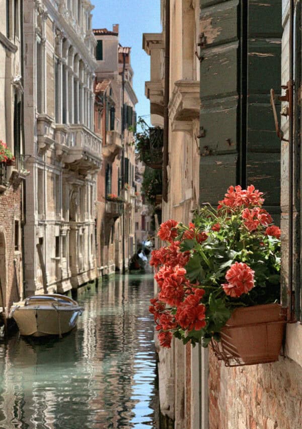 Red geraniums in a window box above a narrow green canal with a moored boat in Venice