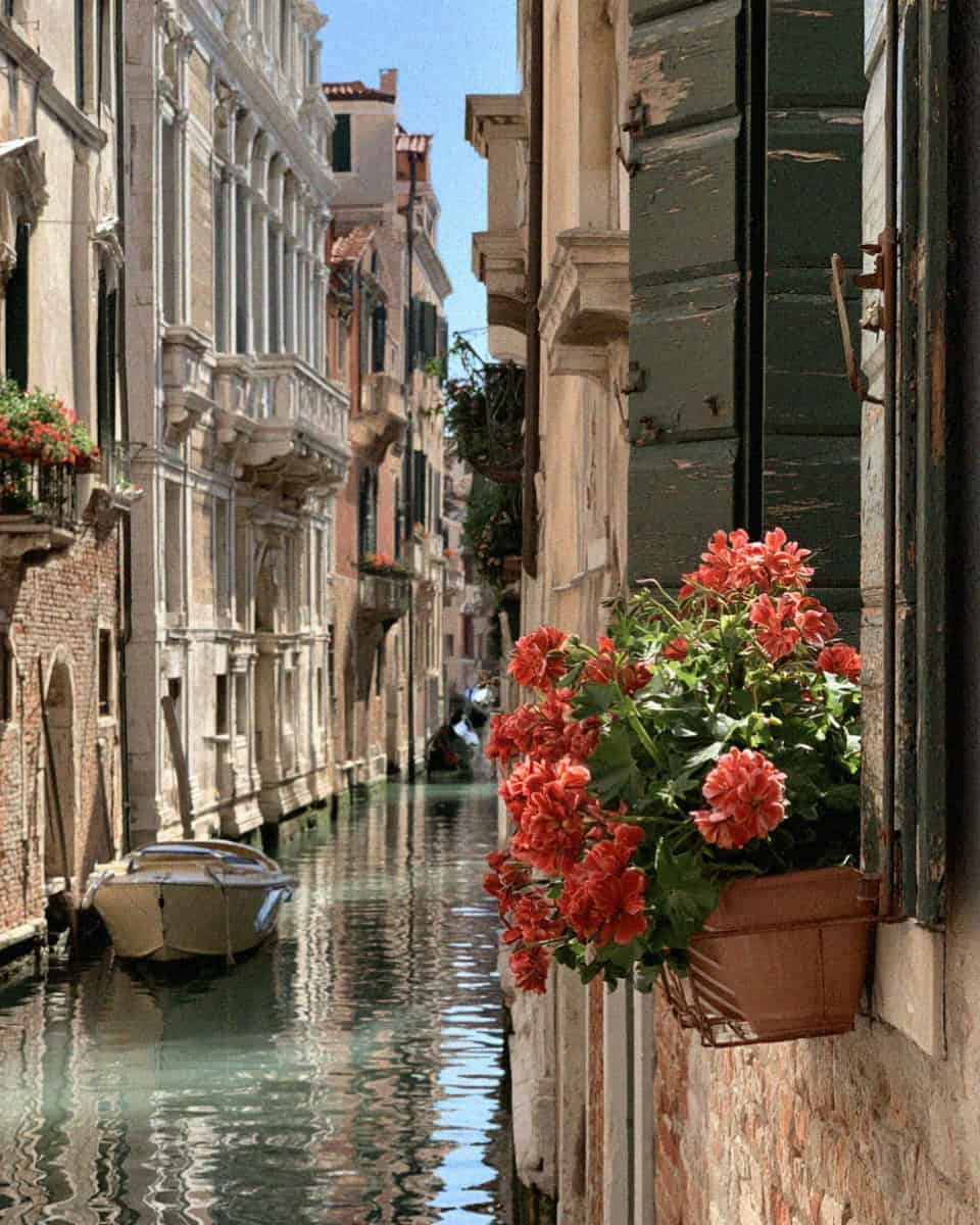 Red geraniums in a window box above a narrow green canal with a moored boat in Venice