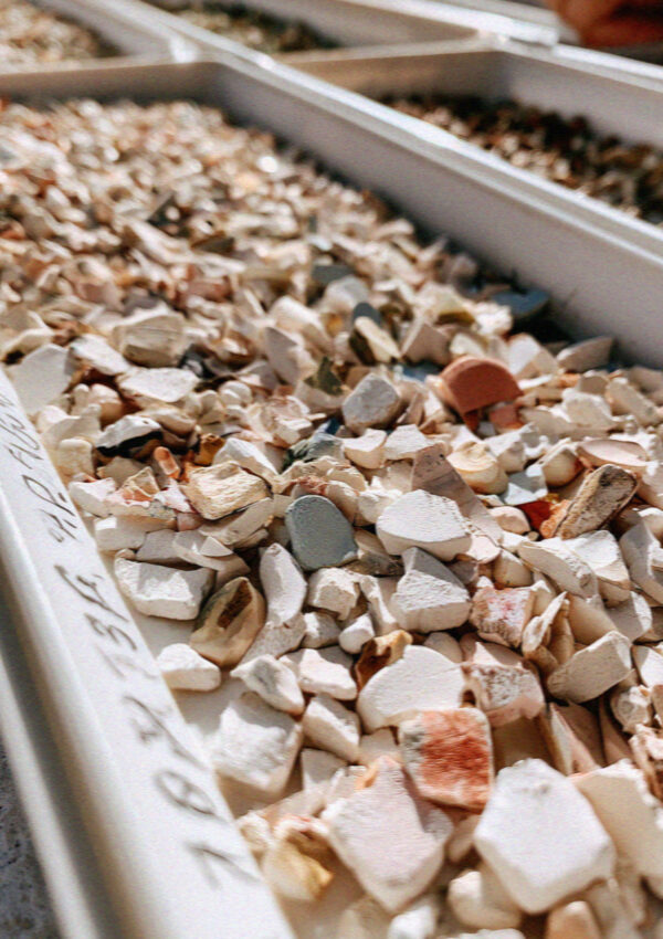 A shallow tray of thousands of tiny numbered painted plaster fragments recovered from a collapsed fresco in Assisi