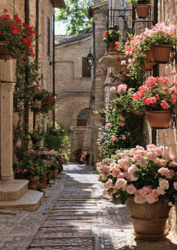 A flower-filled medieval alley in Spello near Assisi hung with geraniums