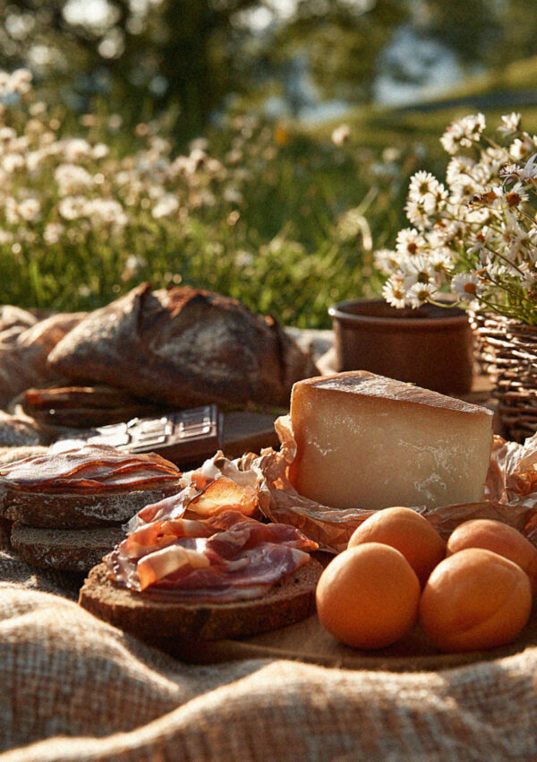 A mountain picnic of bread, speck, cheese and apricots in a Dolomites meadow