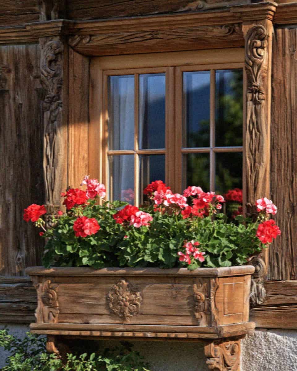 Red geraniums in the carved wooden window box of a South Tyrolean chalet