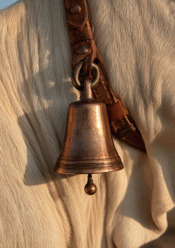 A worn bronze cowbell on a leather collar in the Dolomites