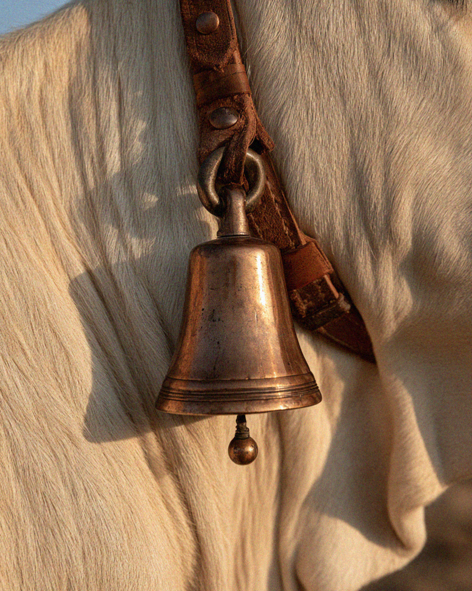 A worn bronze cowbell on a leather collar in the Dolomites