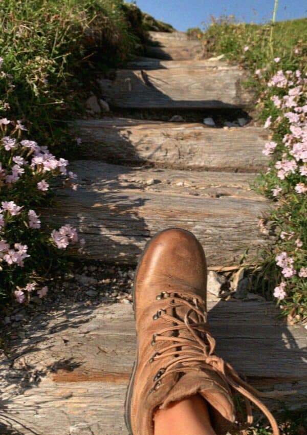 Hiking boots on worn wooden trail steps with alpine flowers, Dolomites