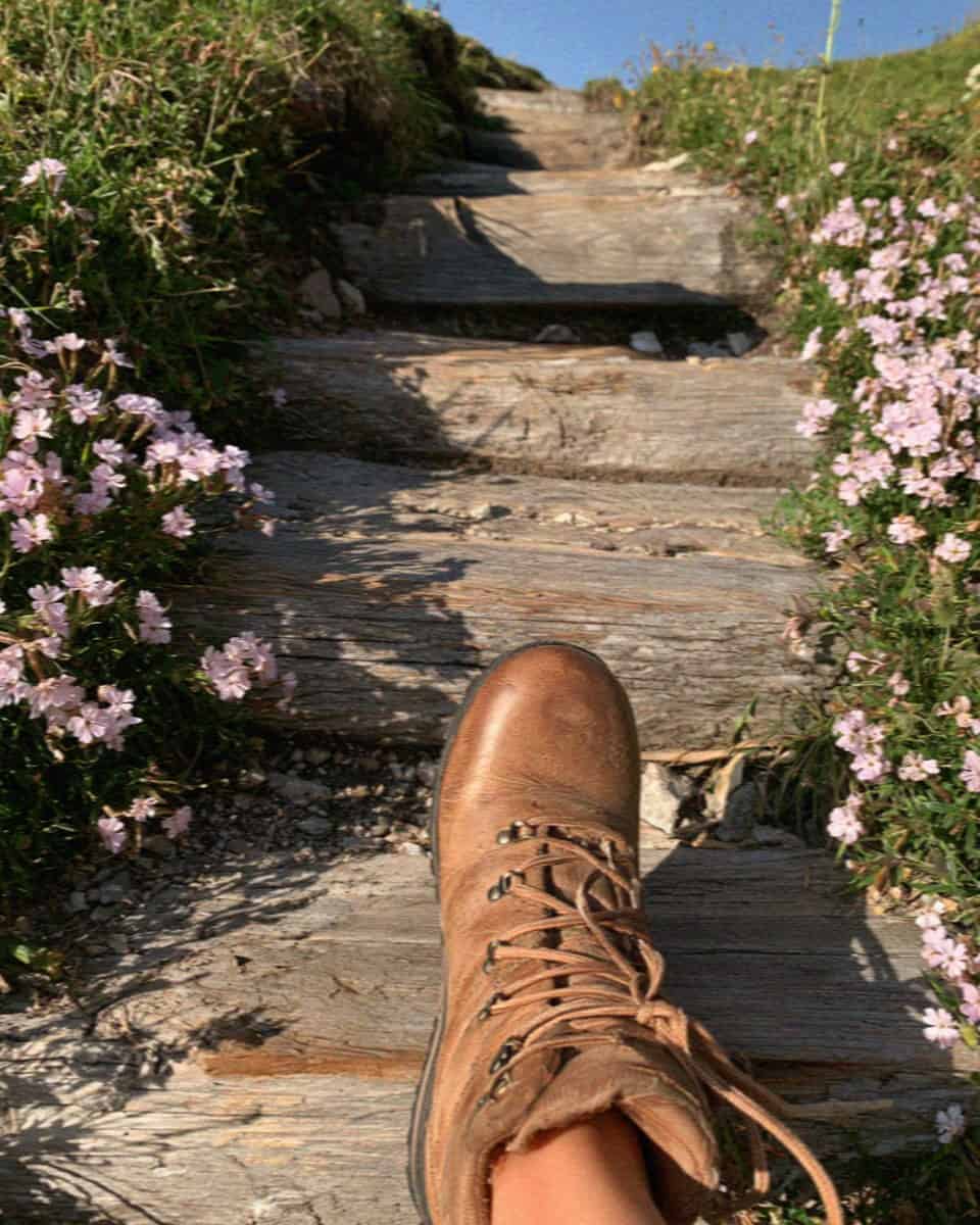Hiking boots on worn wooden trail steps with alpine flowers, Dolomites