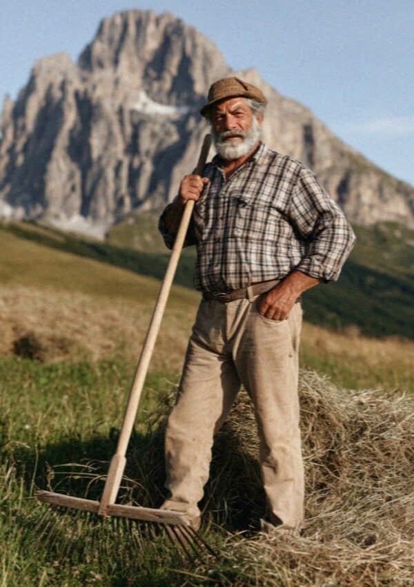 A bearded Ladin farmer with a wooden rake in an alpine meadow, Dolomites