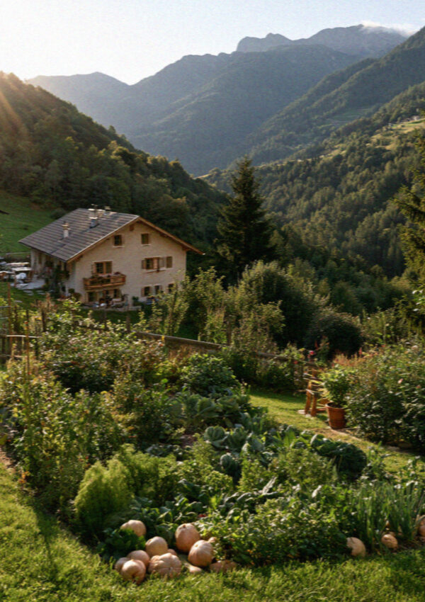 A herb and vegetable garden beside a maso in the Dolomites