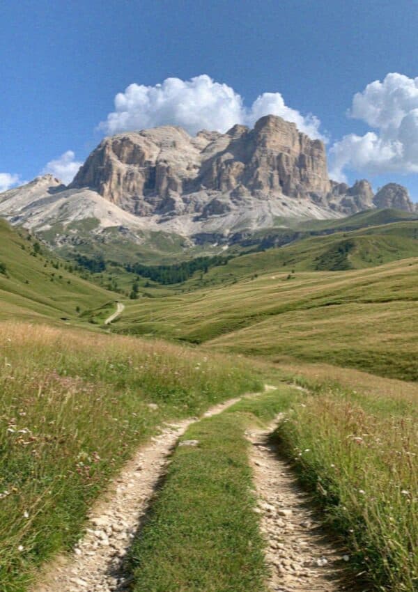 A summer hiking trail through flower meadows toward a Dolomite massif