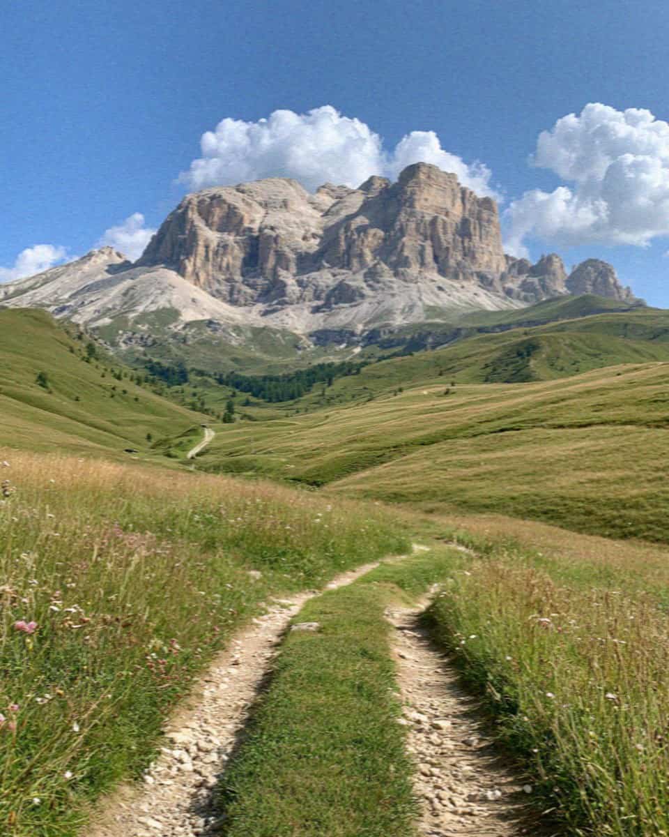 A summer hiking trail through flower meadows toward a Dolomite massif