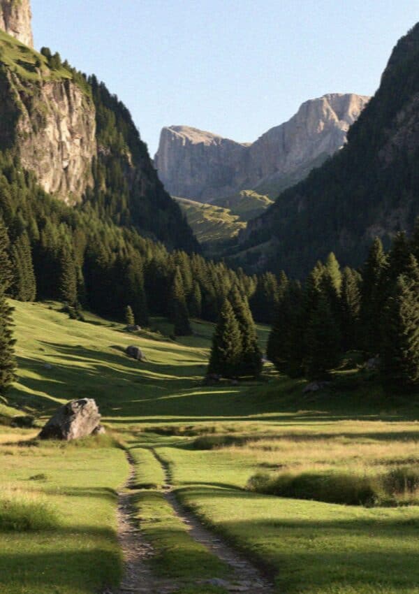 The green Vallunga valley and meadow path in Val Gardena, Dolomites