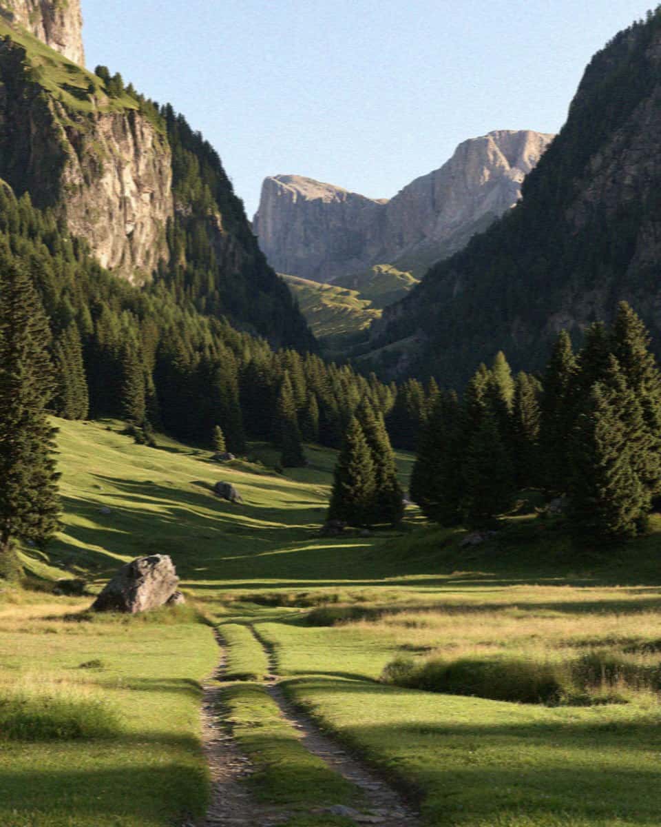 The green Vallunga valley and meadow path in Val Gardena, Dolomites