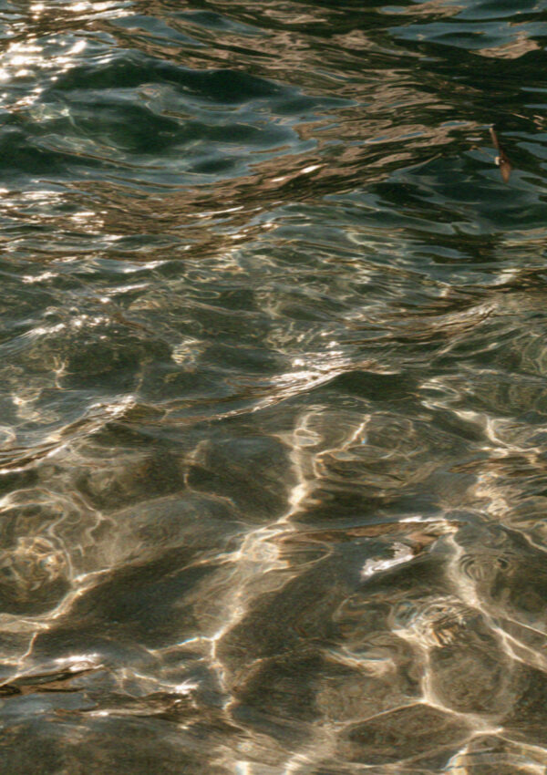 The clear warm water of a woodland lake below the Sciliar in the Dolomites