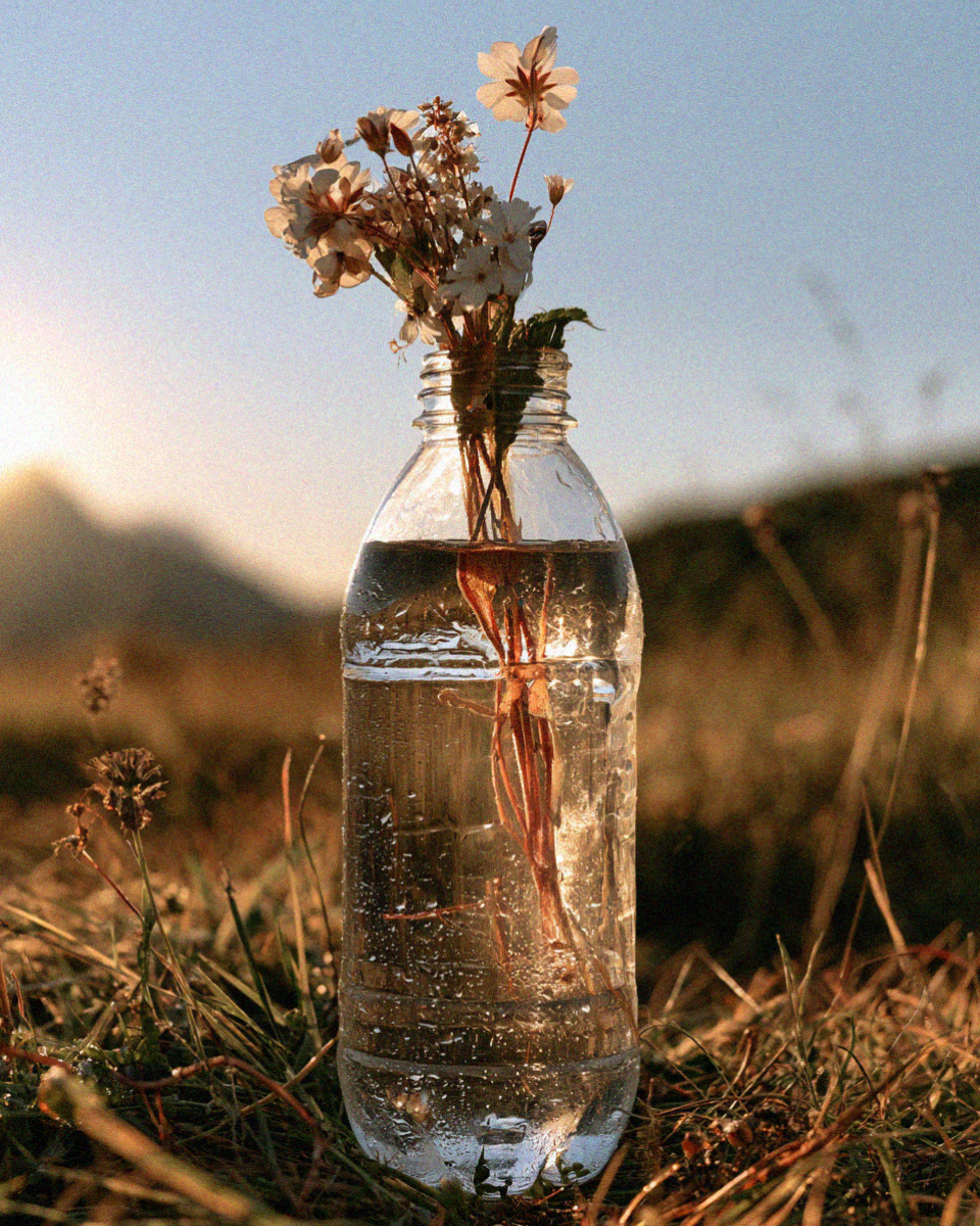 Alpine wildflowers in a glass water bottle in a Dolomites meadow at dusk