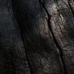 Extreme close-up of blackened carbonised wood grain from a preserved beam in Herculaneum