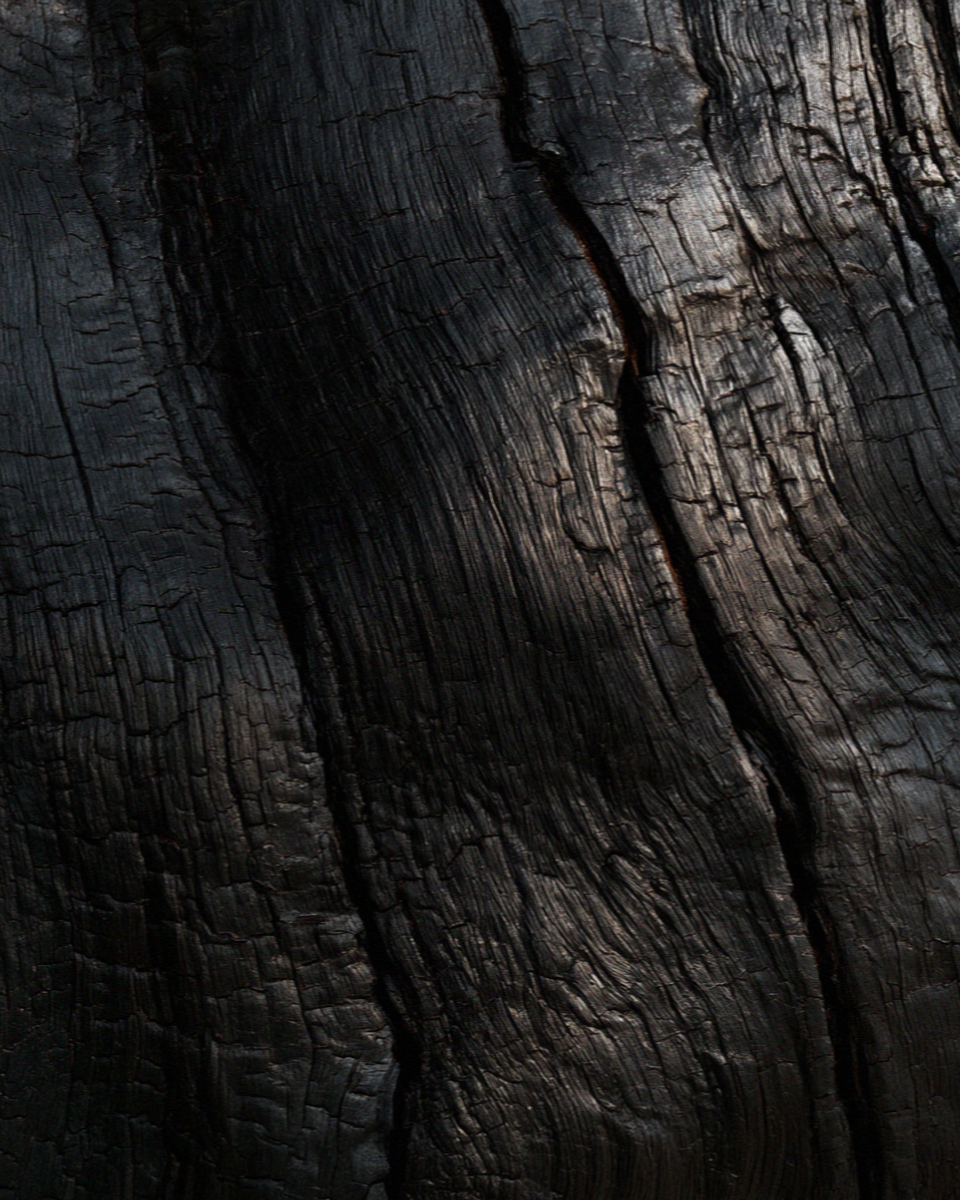 Close detail of carbonised Roman roof timber at Herculaneum, black charcoal grain split with deep cracks
