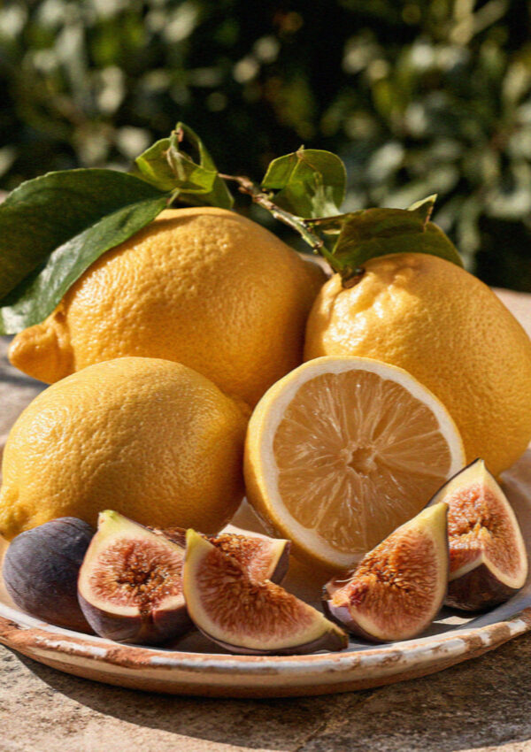 Lemons And Figs on the island of Ischia in the Bay of Naples