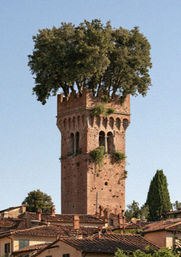 The Guinigi Tower in Lucca crowned with holm oak trees against a blue sky