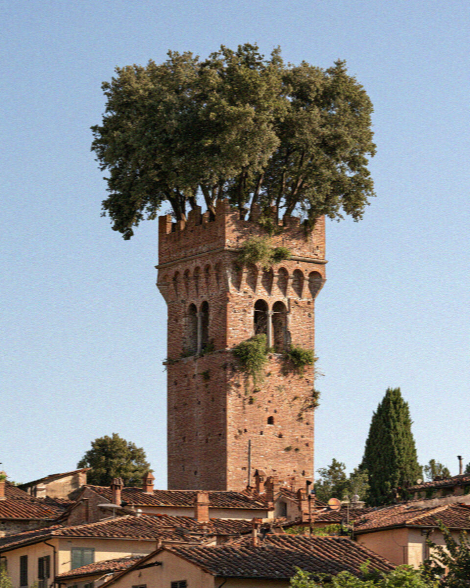 The Guinigi Tower in Lucca crowned with holm oak trees against a blue sky