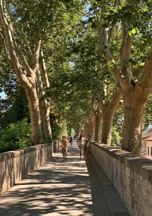 Two Days in Pisa and Lucca: The Perfect Itinerary