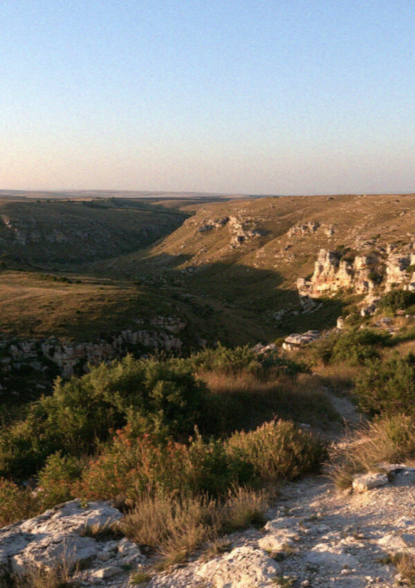 The dry limestone plateau above the ravine near Matera