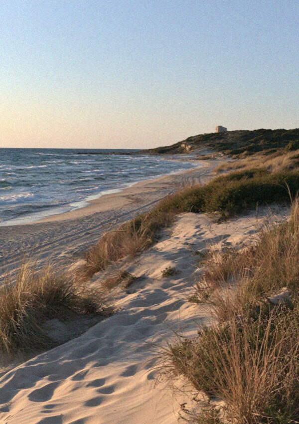 Dunes and open beach on the protected coast near Ostuni at dusk