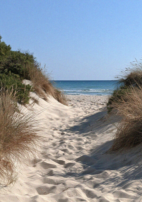 A sand path through dune scrub down to the open beach on the coast near Ostuni