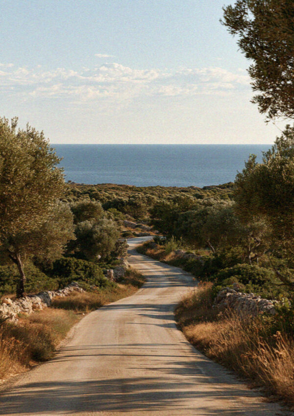 A track running down through low scrub to the sea below Ostuni in Puglia