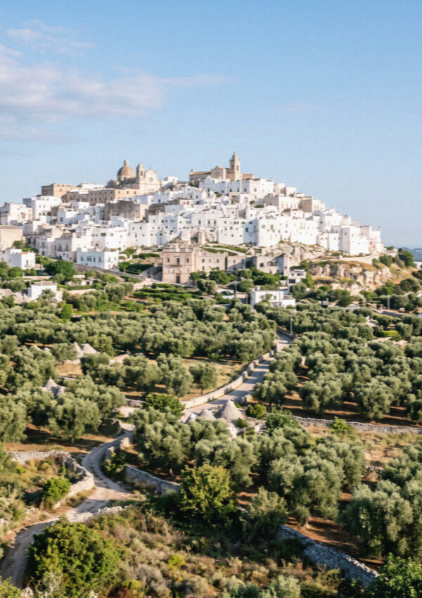 The whitewashed hill town of Ostuni in Puglia seen from the olive plain below
