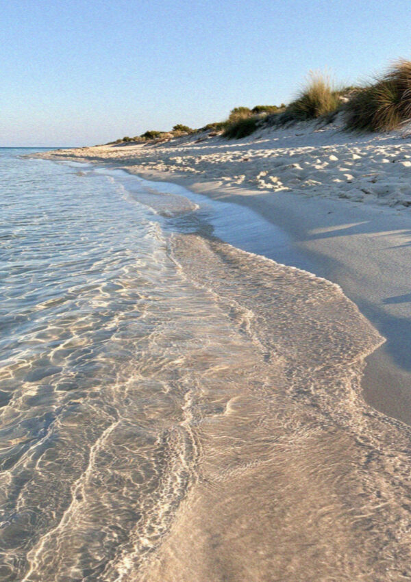 A pale sand beach and low dunes on the Ionian coast of the Salento, near Lecce