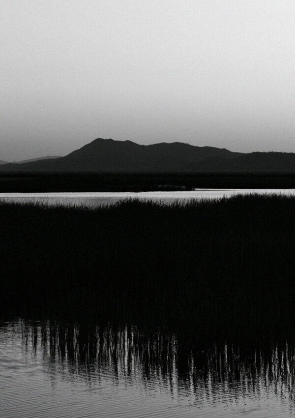 A black reeded lake at Torre del Lago in Tuscany with the shape of the mountains against a pale sky, no lights on the far shore