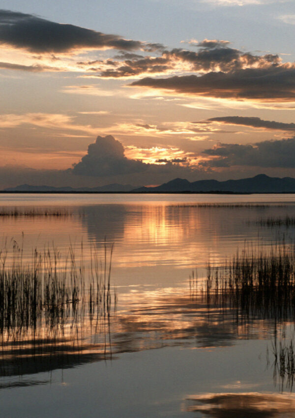The flat surface of the lagoon at Torre del Lago in Tuscany taking the last colour of the sky, reeds in silhouette, no people