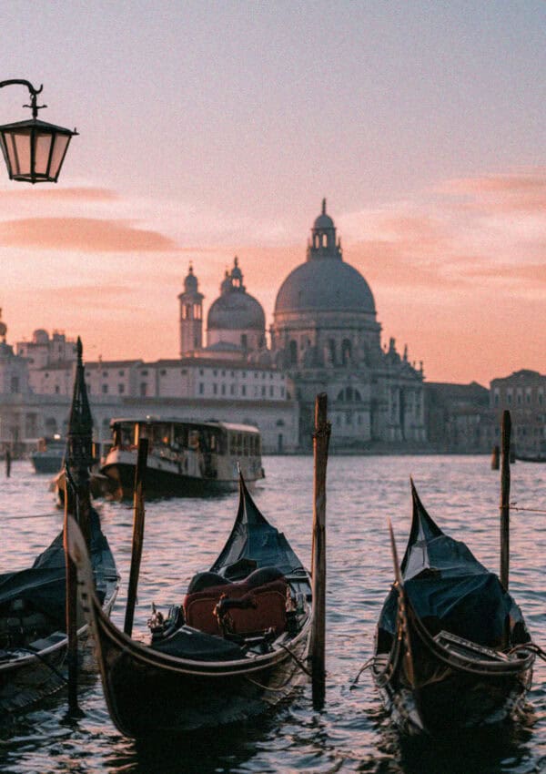 Gondolas moored at San Marco with the Salute behind at dusk