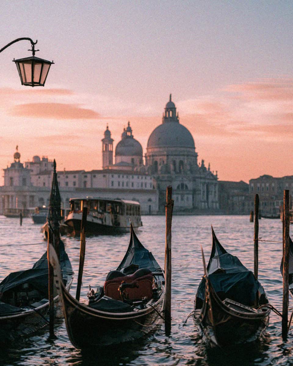 Gondolas moored at San Marco with the Salute behind at dusk