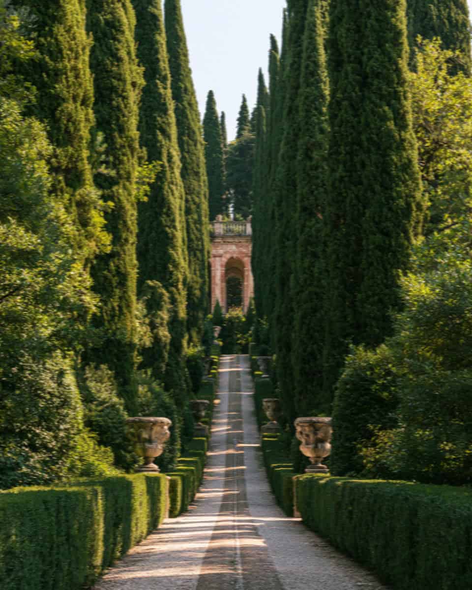 The cypress avenue of the Giardino Giusti, Verona