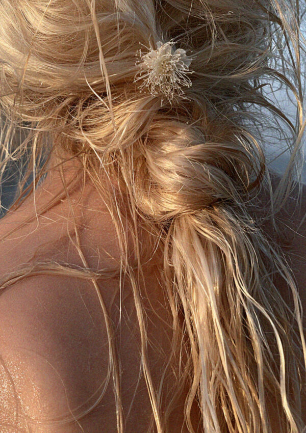 A loose halo braid with an alpine wildflower in the Dolomites