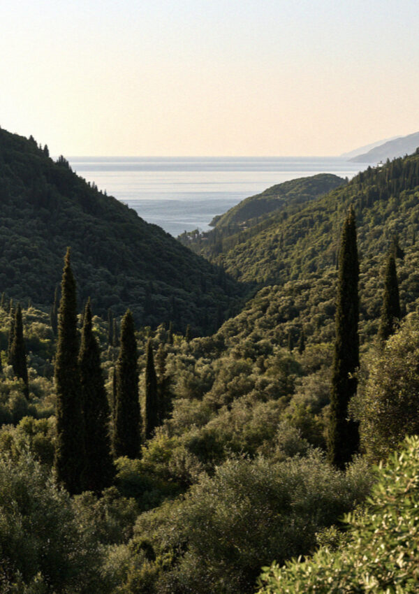 A densely green valley in Corfu running down between cypresses to the sea