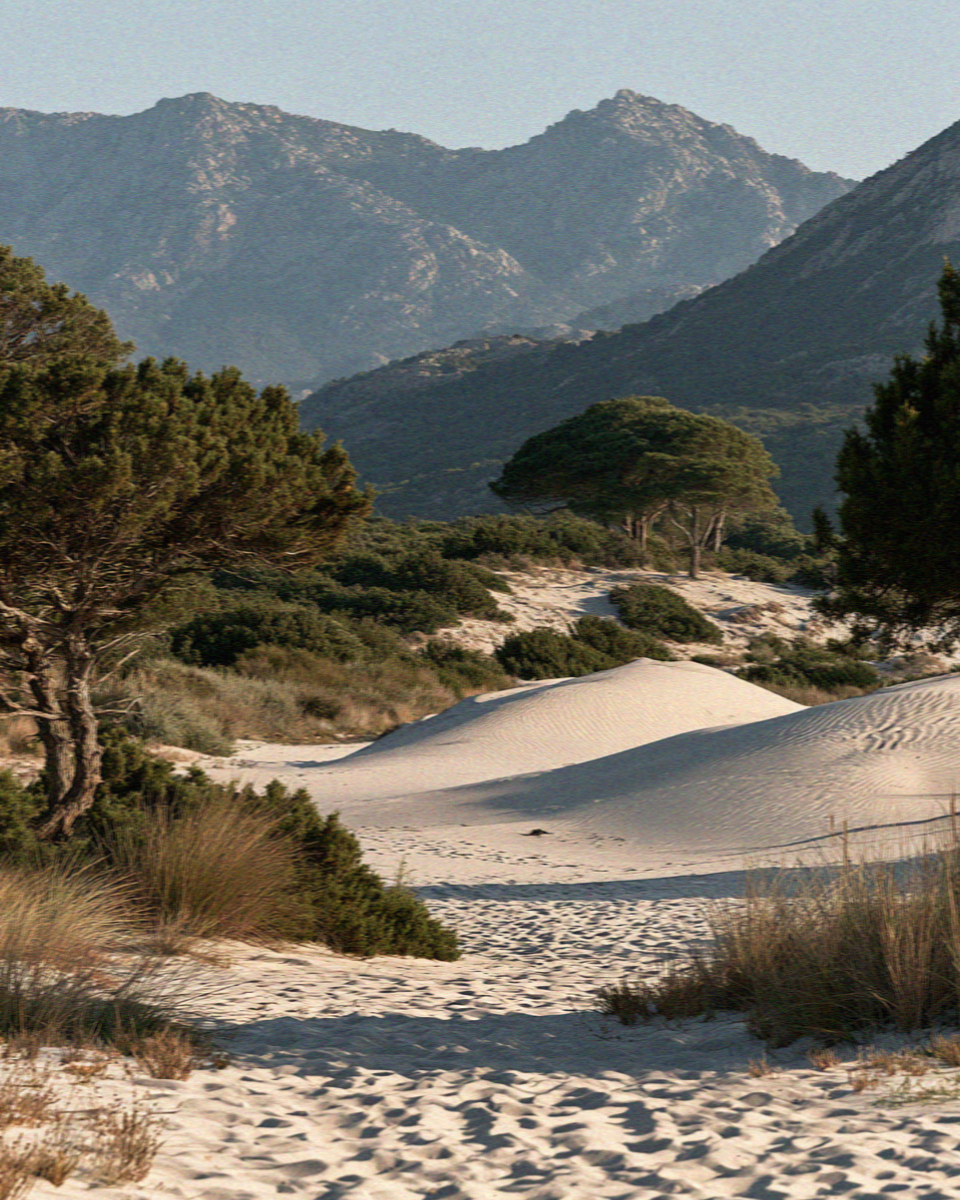 The empty white sand of Saleccia beach in the Agriates in Corsica