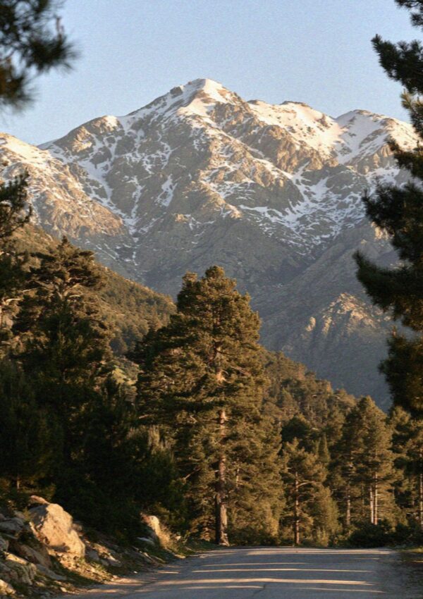 Snow lying on the high ridges of the Corsican interior