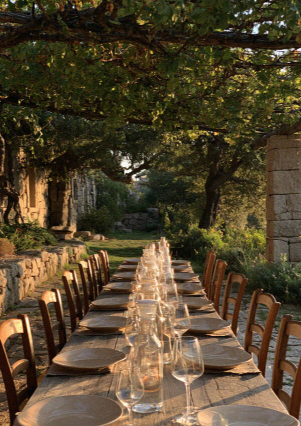 A farmhouse table under vines in the Gallura hills behind the Costa Smeralda