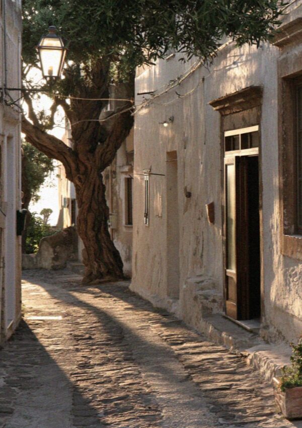 Evening light coming off the stone in a lane on Filicudi in the Aeolian Islands